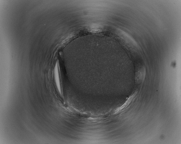 X0000097950180200804071014