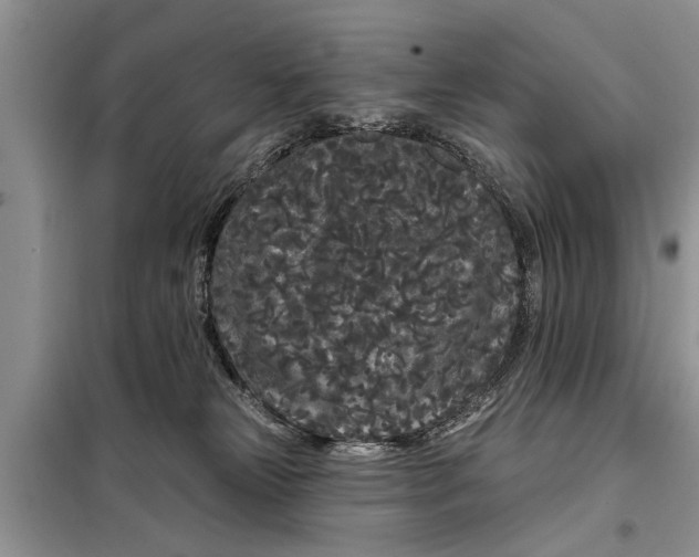 X0000097950181200804071014