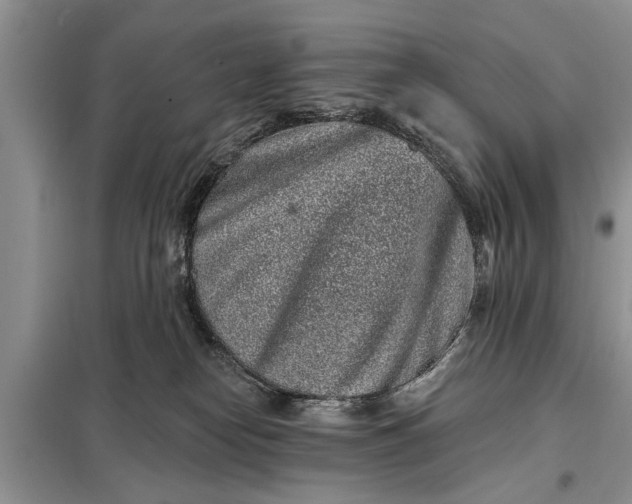 X0000097950182200804071014