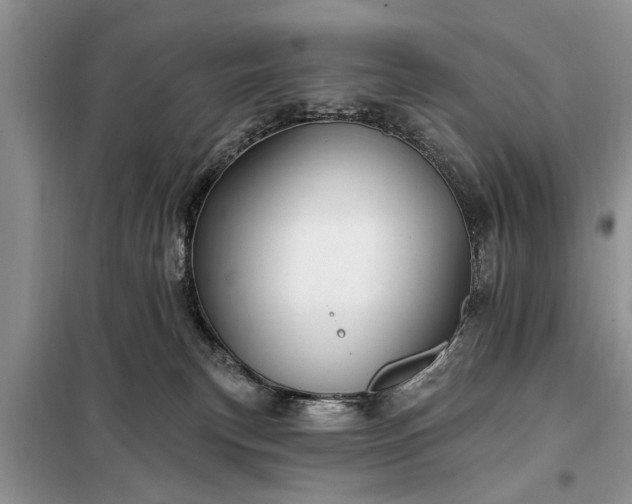 X0000097950183200804071014