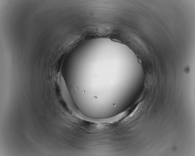 X0000097950184200804071014