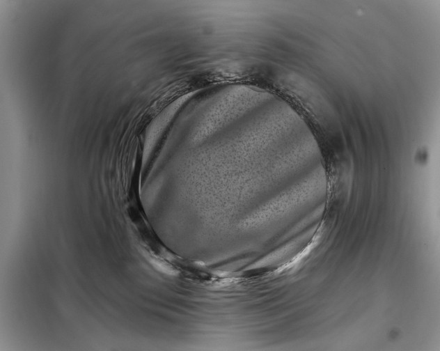 X0000097950186200804071014