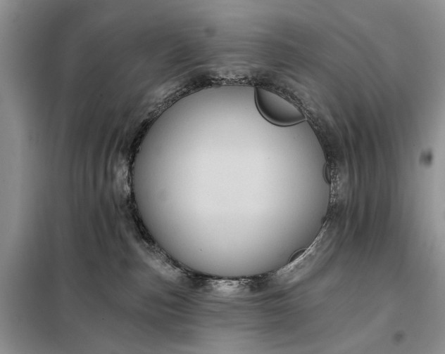 X0000097950187200804071014