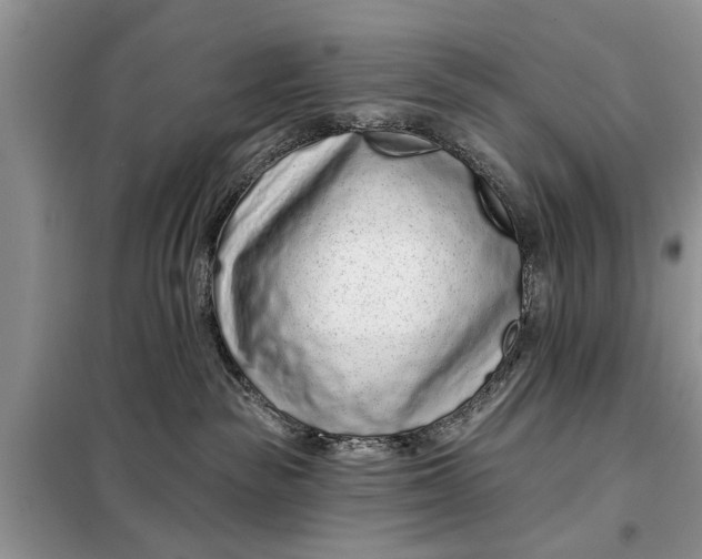 X0000097950189200804071015