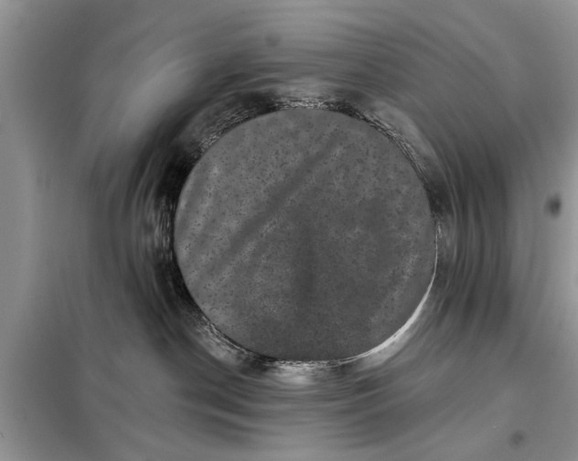 X0000097950190200804071015