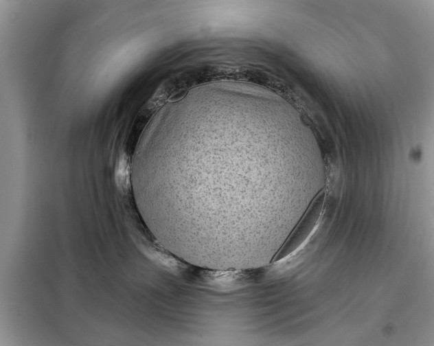 X0000097950191200804071015