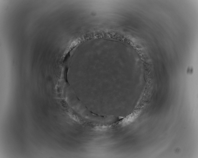 X0000097950192200804071015