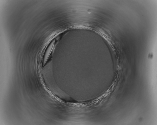 X0000097950193200804071014
