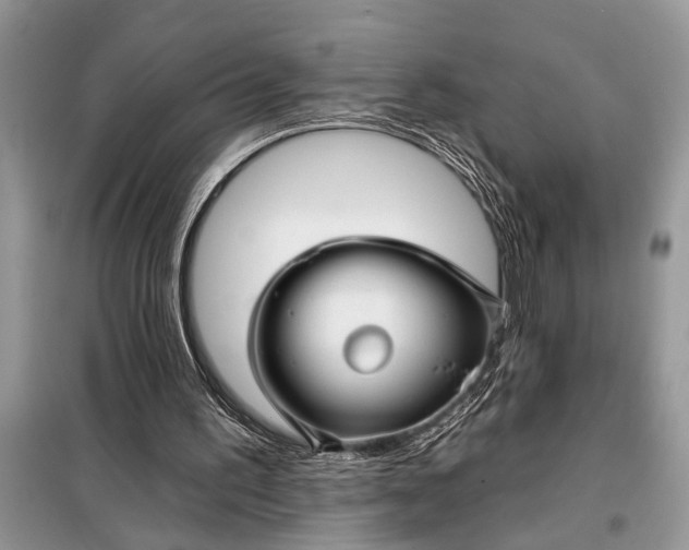 X0000097950195200804071014