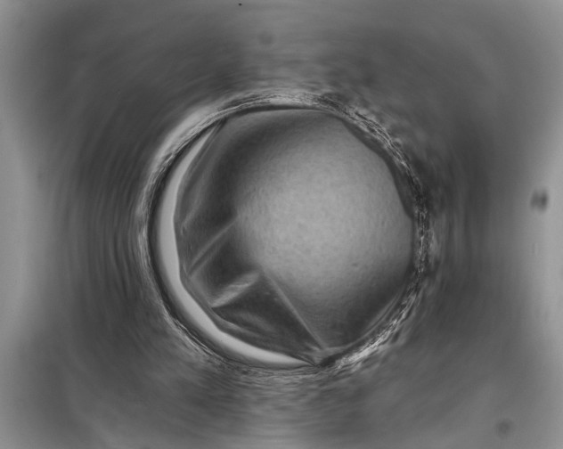 X0000097950197200804071014