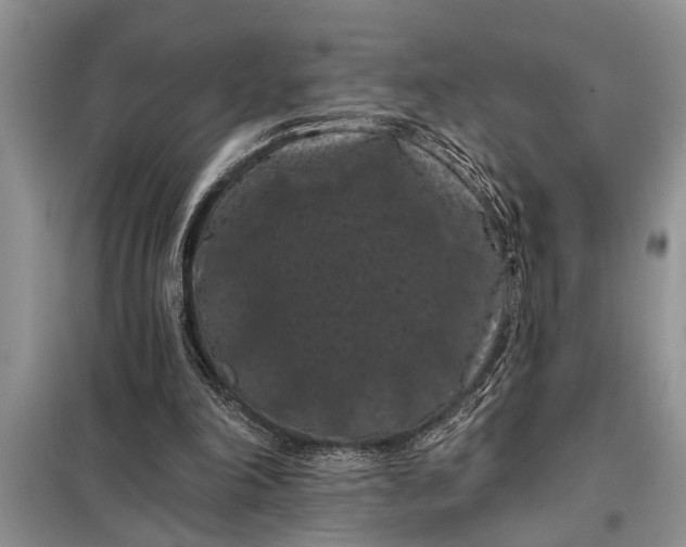 X0000097950198200804071014