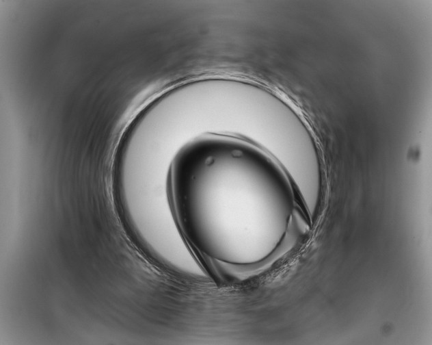 X0000097950199200804071014