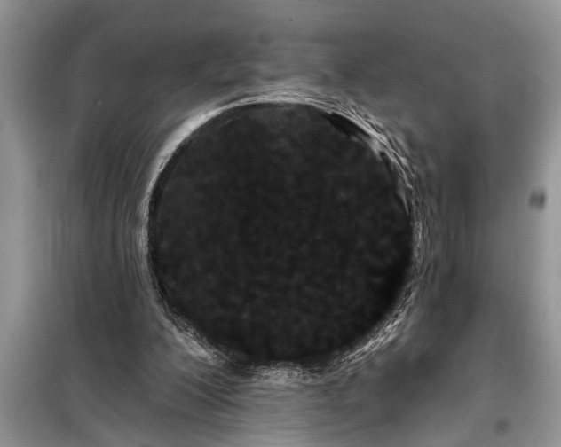 X0000097950200200804071014