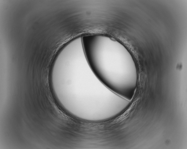 X0000097950201200804071014