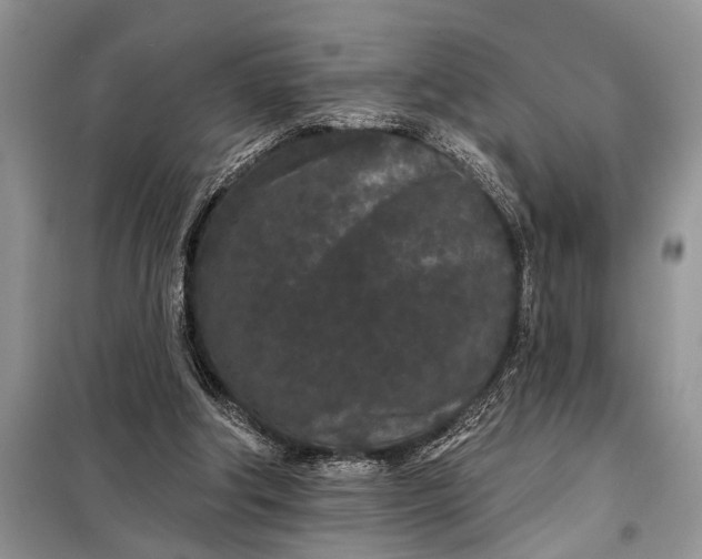 X0000097950202200804071014