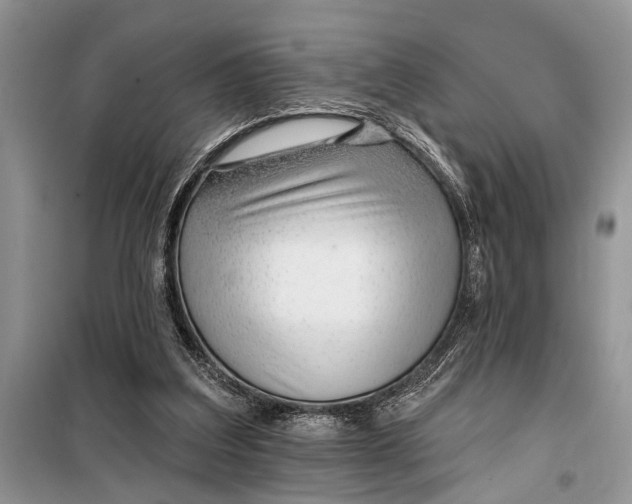 X0000097950203200804071014