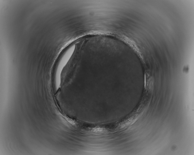 X0000097950204200804071014