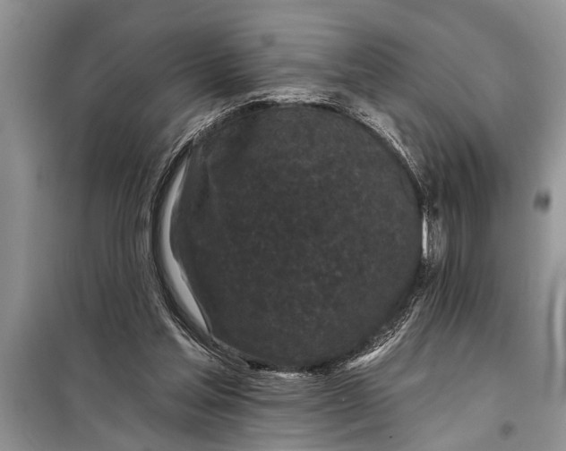 X0000097950205200804071014