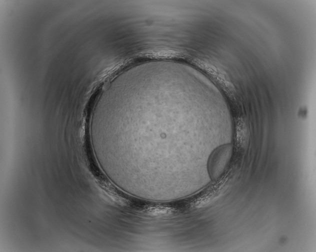 X0000097950206200804071014