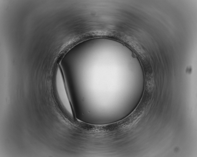 X0000097950207200804071014