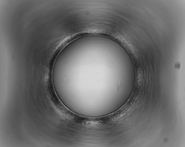X0000097950208200804071014