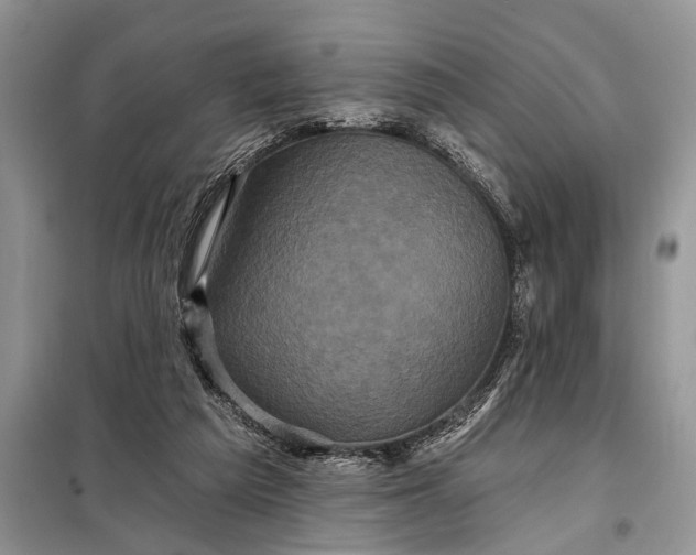 X0000097950209200804071013