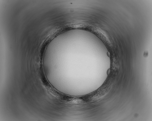 X0000097950210200804071013