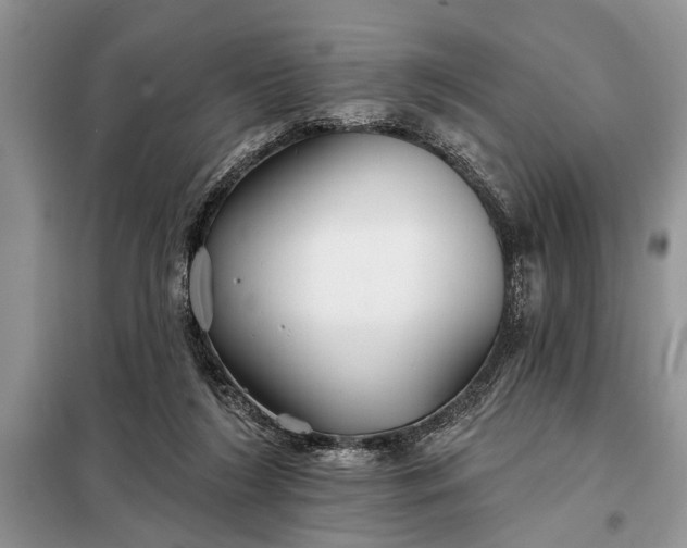 X0000097950212200804071013