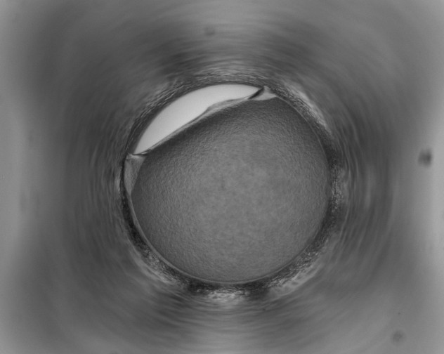 X0000097950213200804071013
