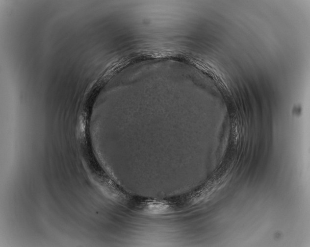 X0000097950214200804071013