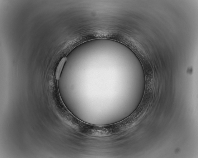 X0000097950215200804071013
