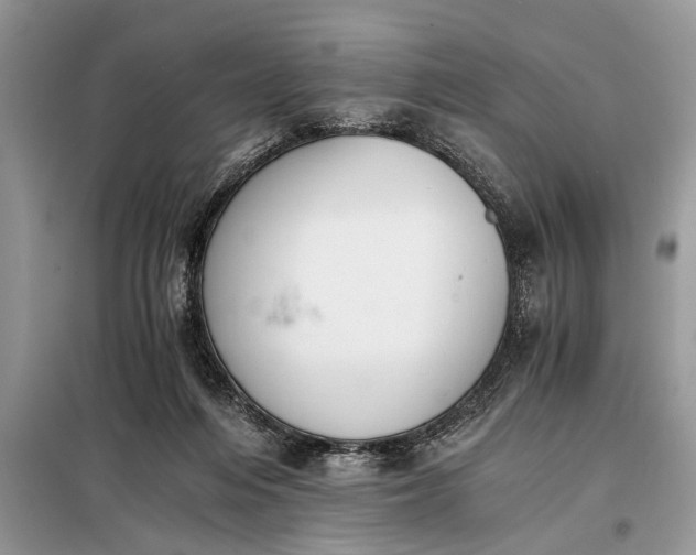 X0000097950216200804071013