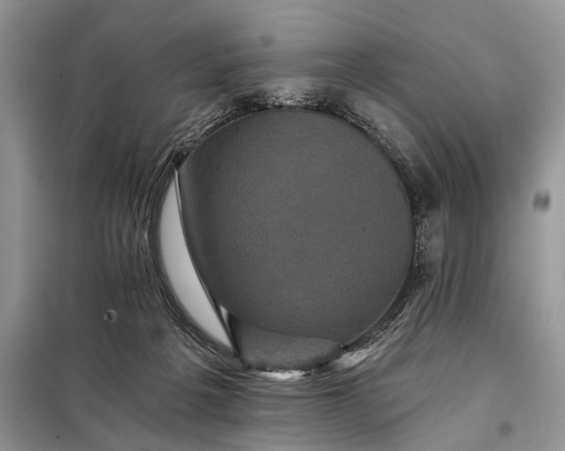 X0000097950217200804071013