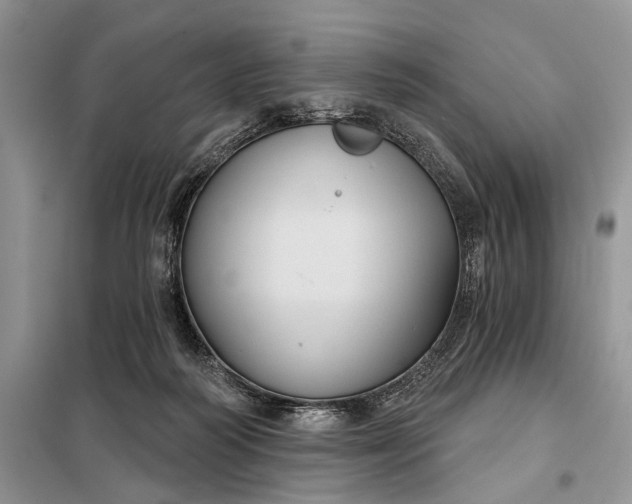X0000097950218200804071013