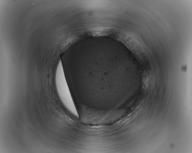 X0000097950219200804071013