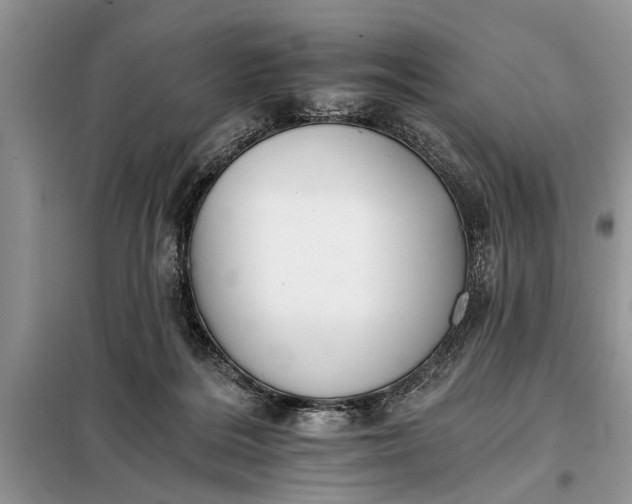 X0000097950220200804071013