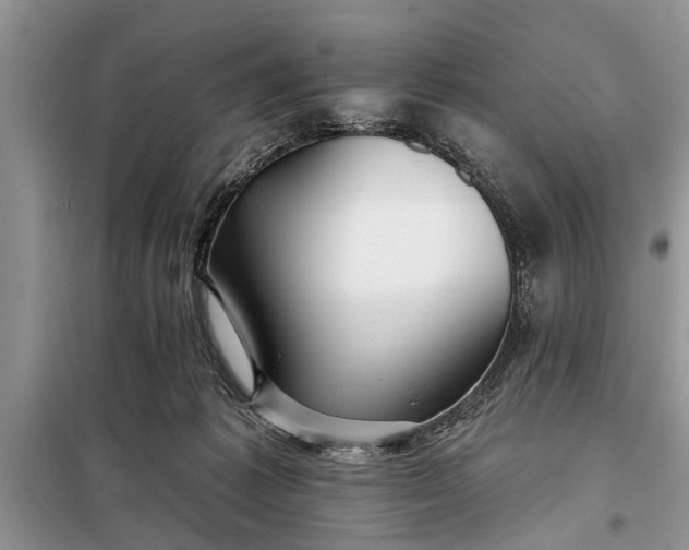 X0000097950221200804071013