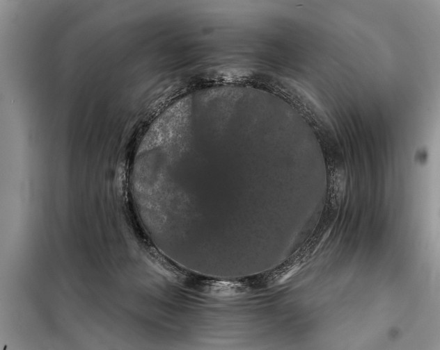 X0000097950222200804071013