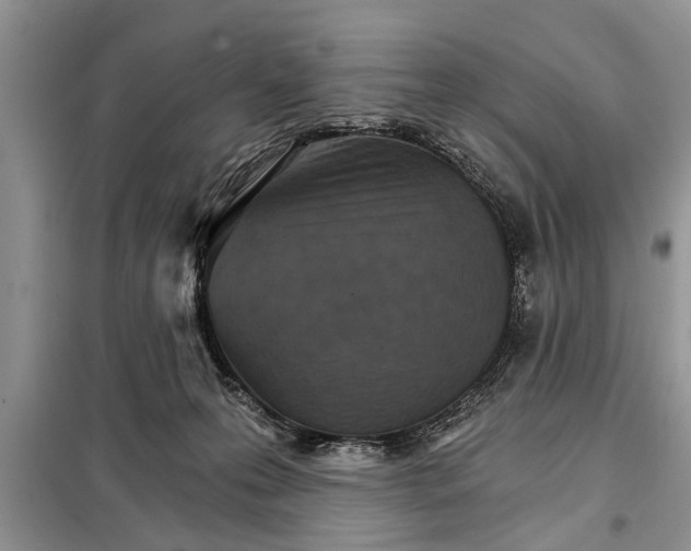 X0000097950223200804071013