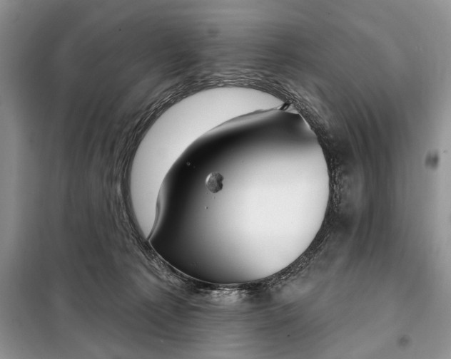 X0000097950225200804071013