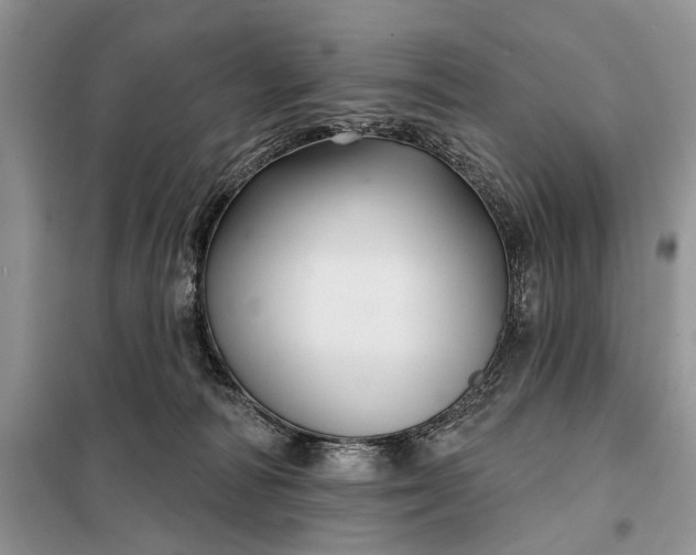 X0000097950226200804071013