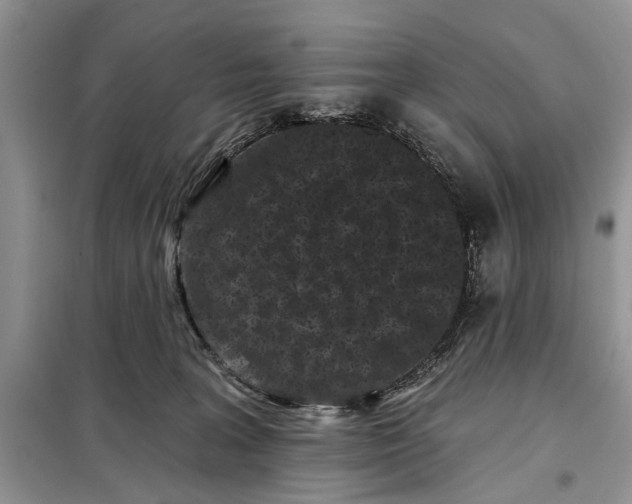 X0000097950227200804071013