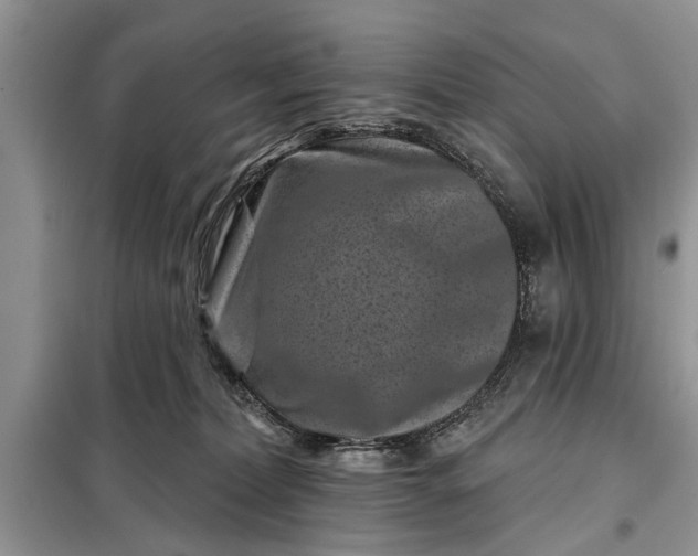 X0000097950228200804071013
