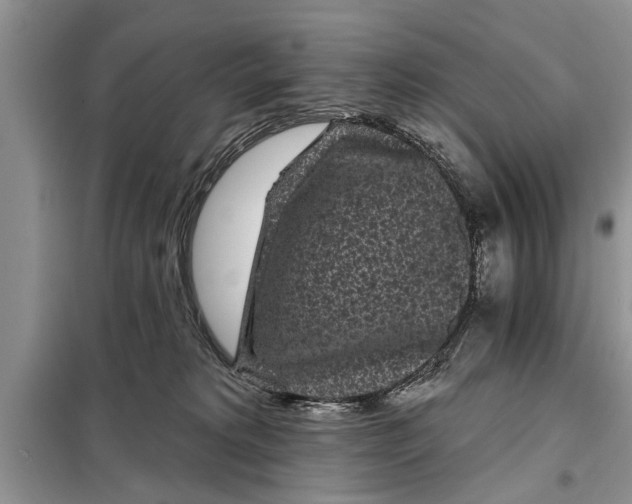 X0000097950229200804071013