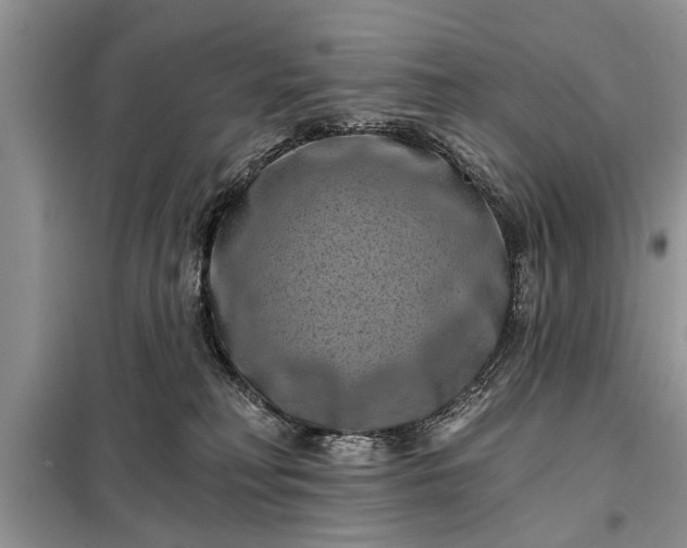 X0000097950230200804071013