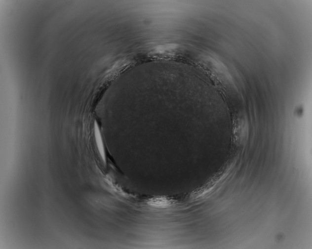 X0000097950231200804071013