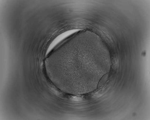 X0000097950232200804071013