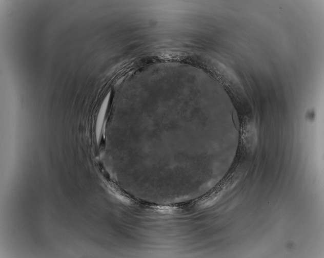 X0000097950233200804071013