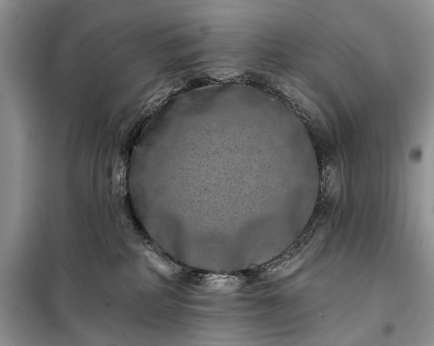 X0000097950234200804071013