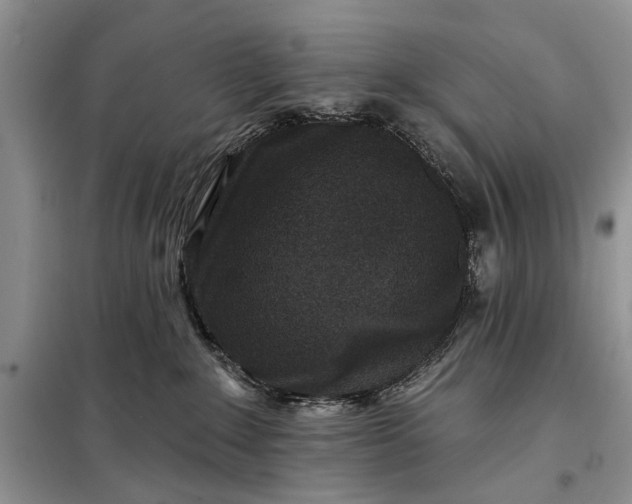 X0000097950235200804071013